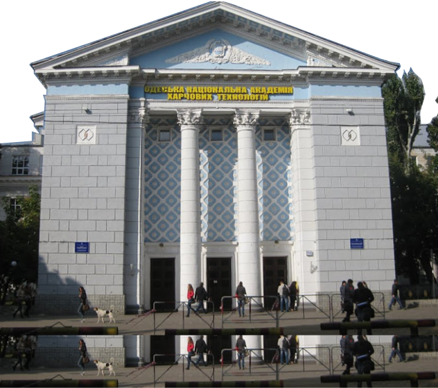 знімок підготовки до зно онлайн-курси