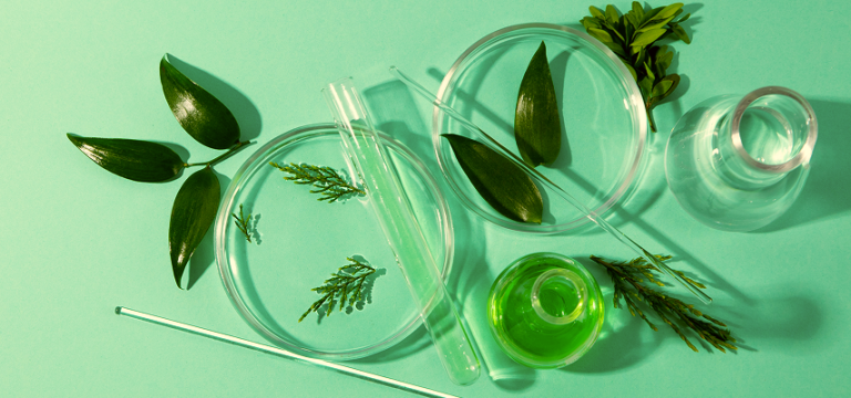 ілюстрація підготовки до зно курси