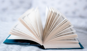 зображення з блогу курси підготовки до нмт