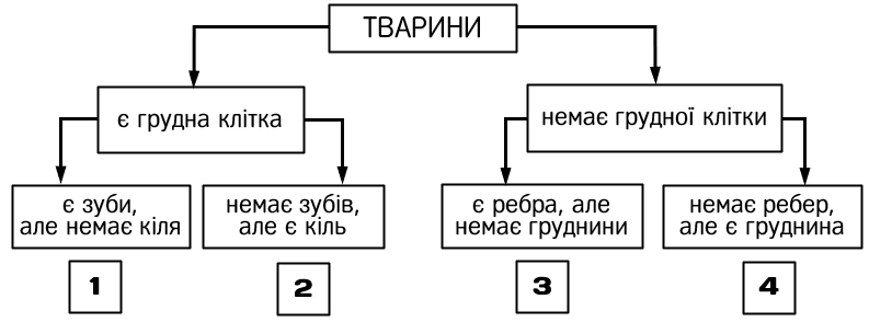 Завдання НМТ на відповідність: особливості будови 1-4 і тварини А-Д, серед яких страус африканський і ворона сіра