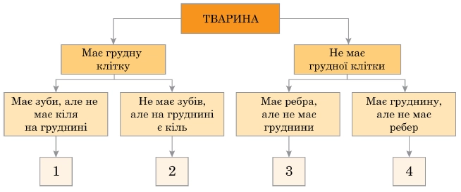 Схема завдання НМТ: особливості будови скелета хребетних тварин 1-4 і перелік тварин А-Д